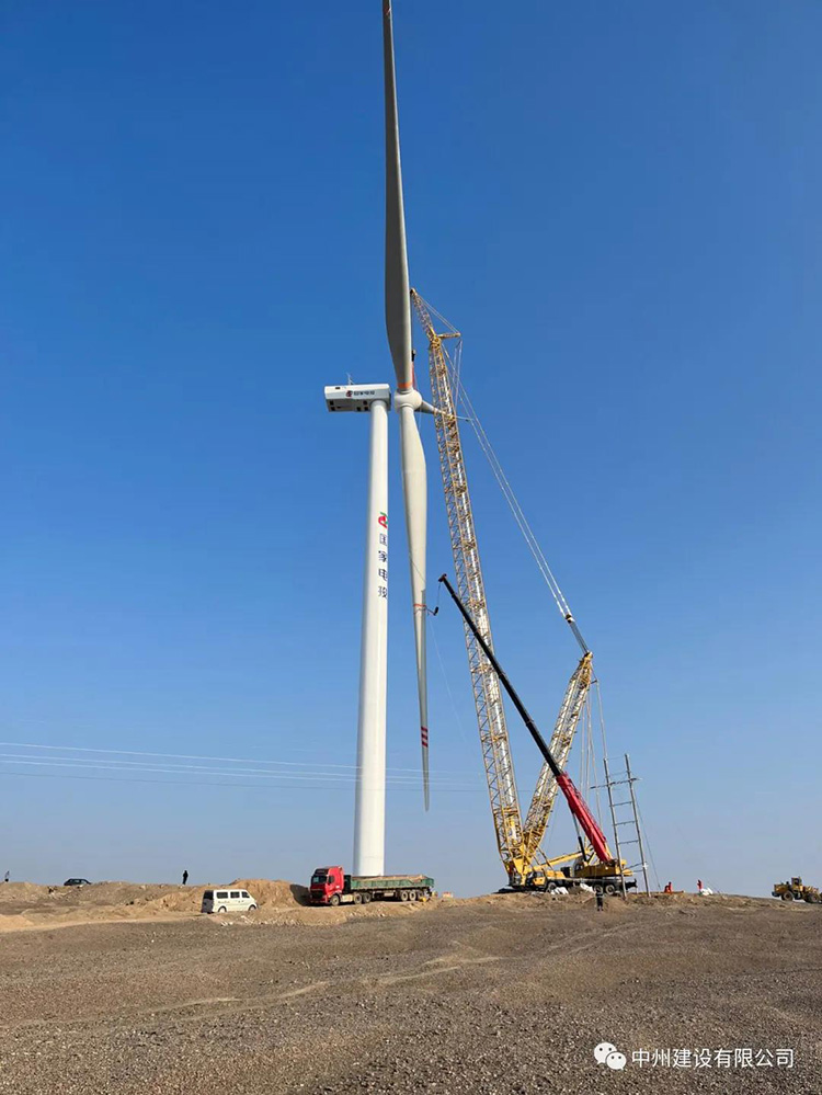 1642062560630501.jpg 3.jpg